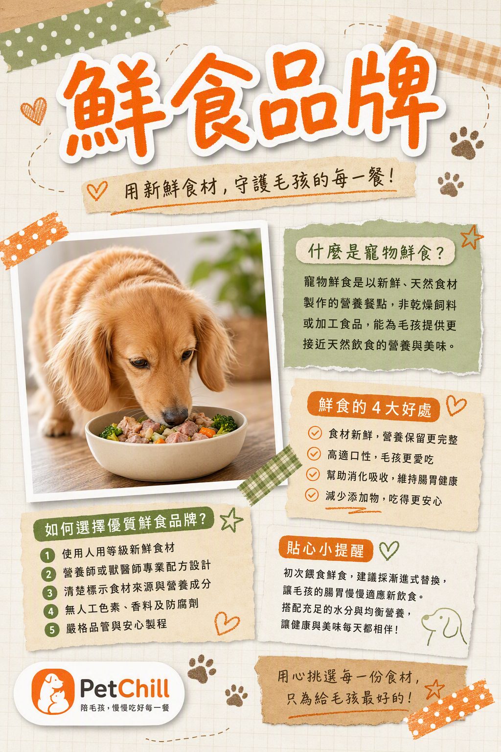 章節主題