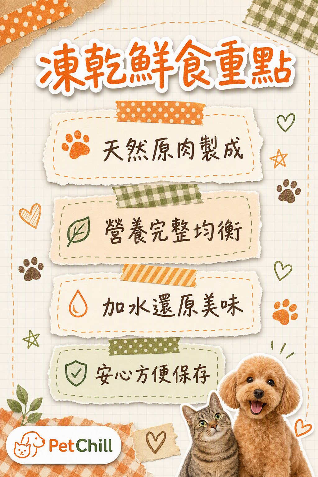 章節內容