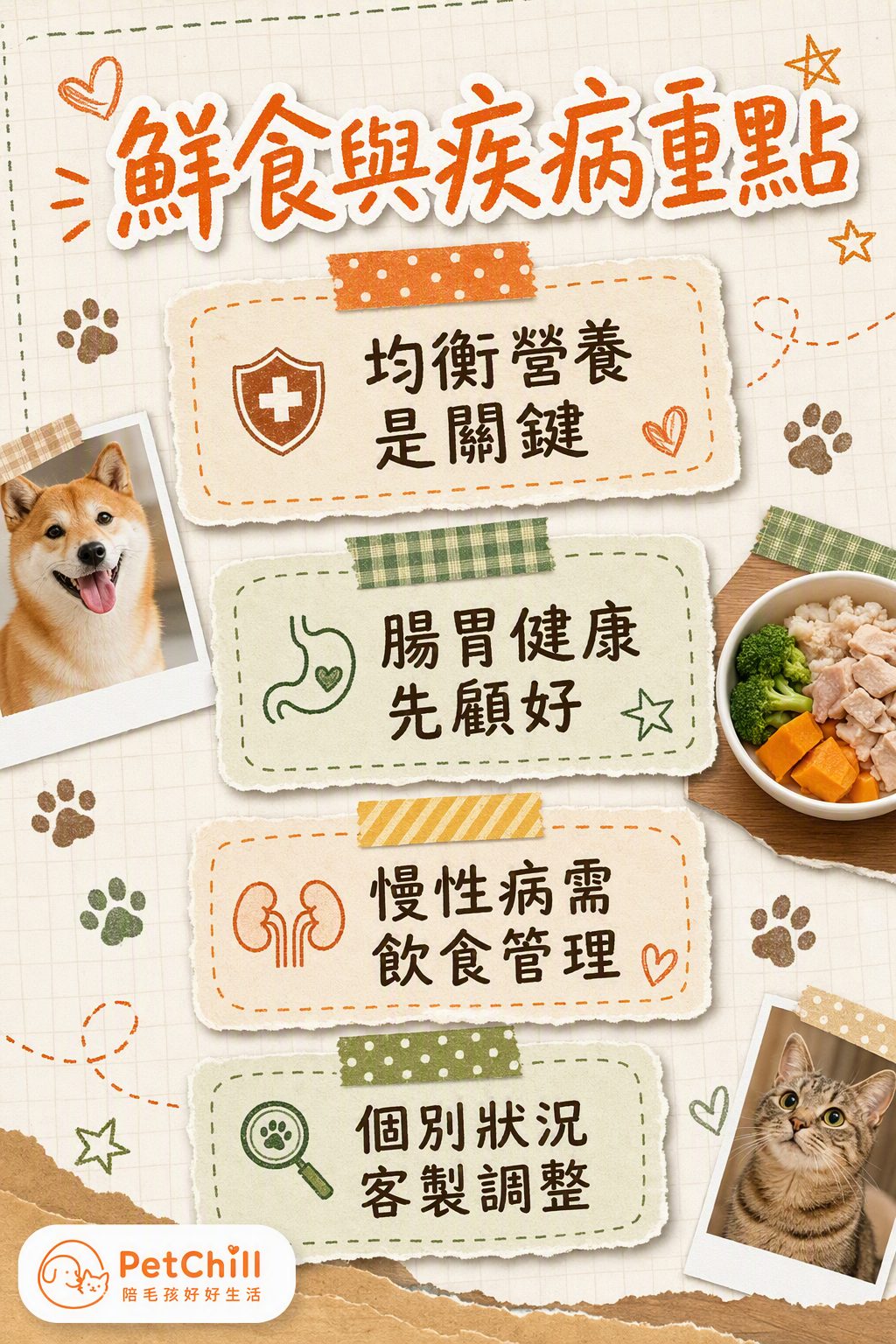 章節內容