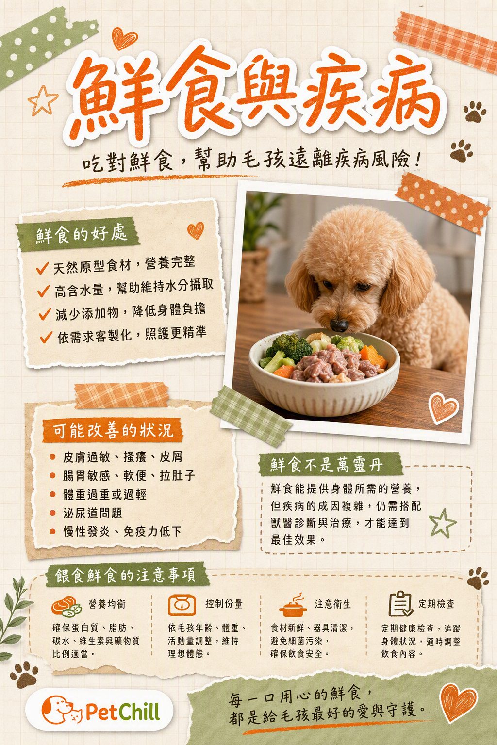 章節主題