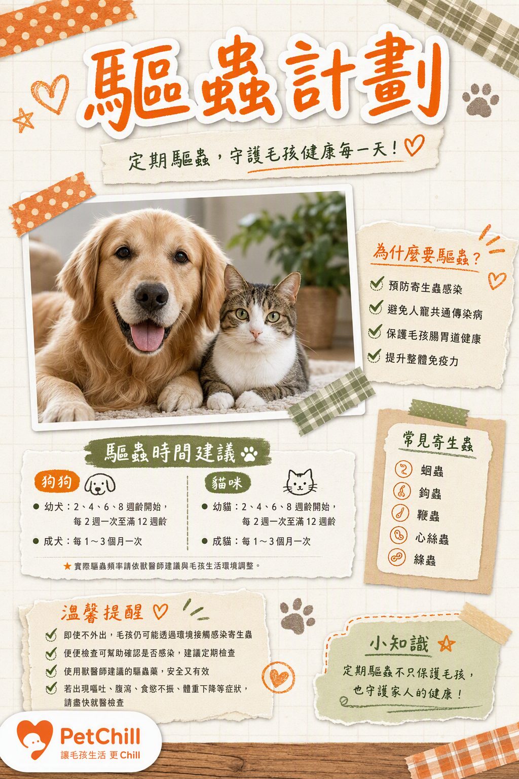 章節主題