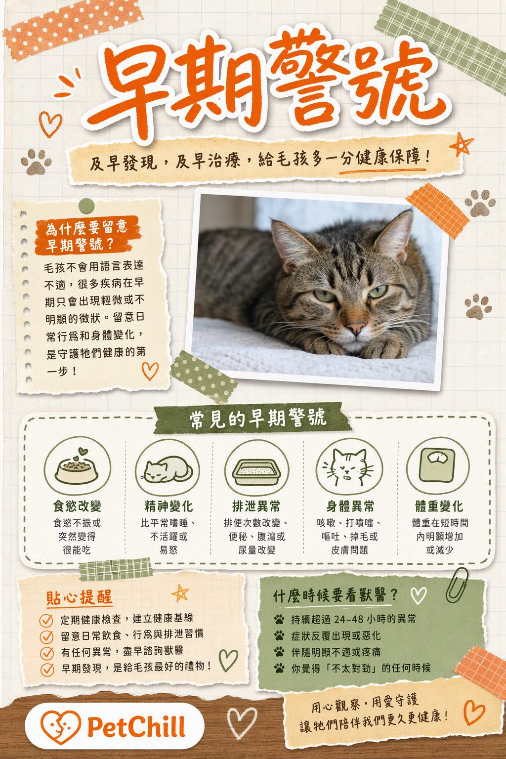 章節主題