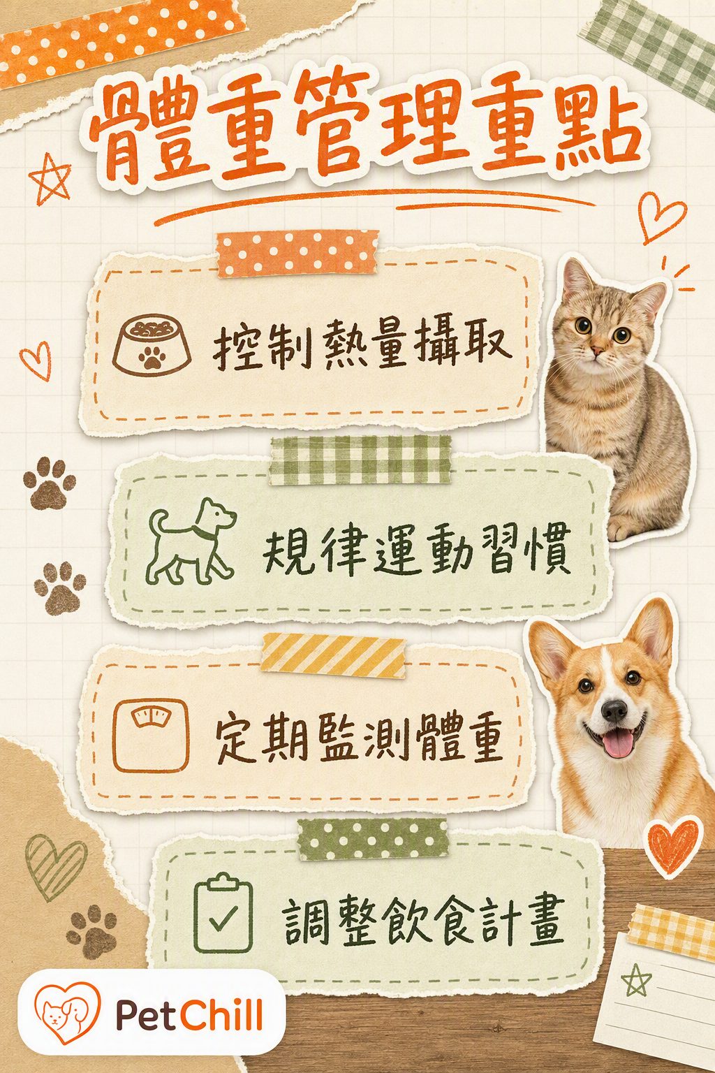 章節內容