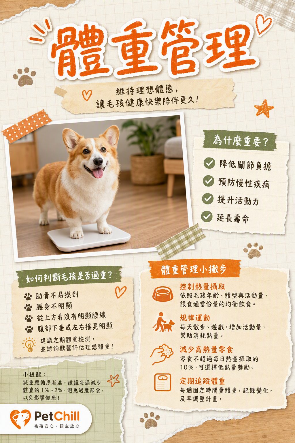 章節主題