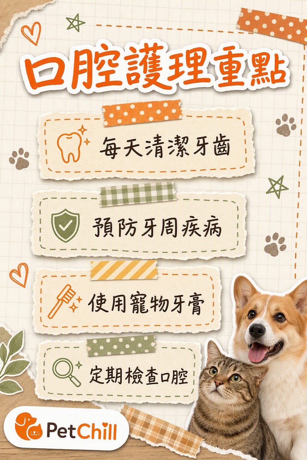 章節內容