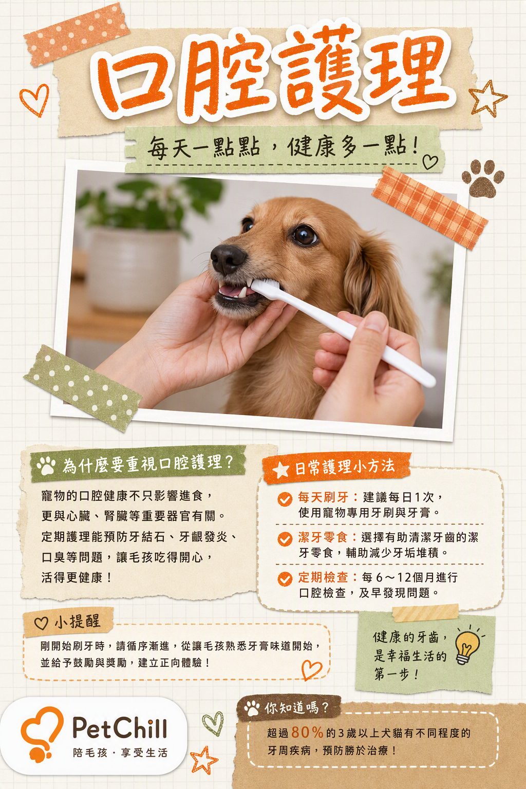 章節主題