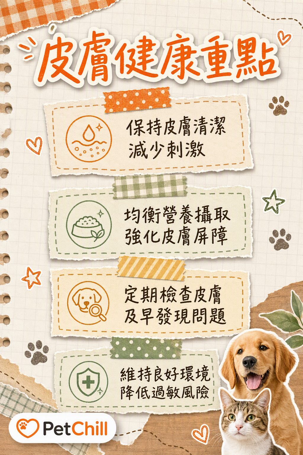 章節內容