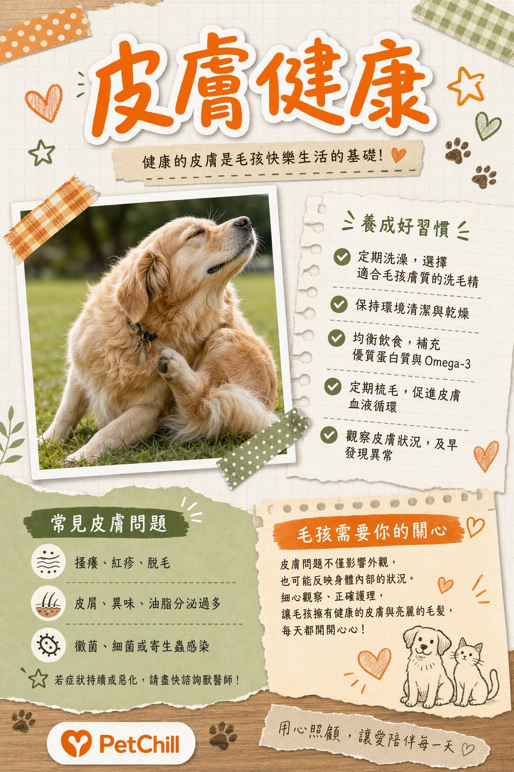 章節主題