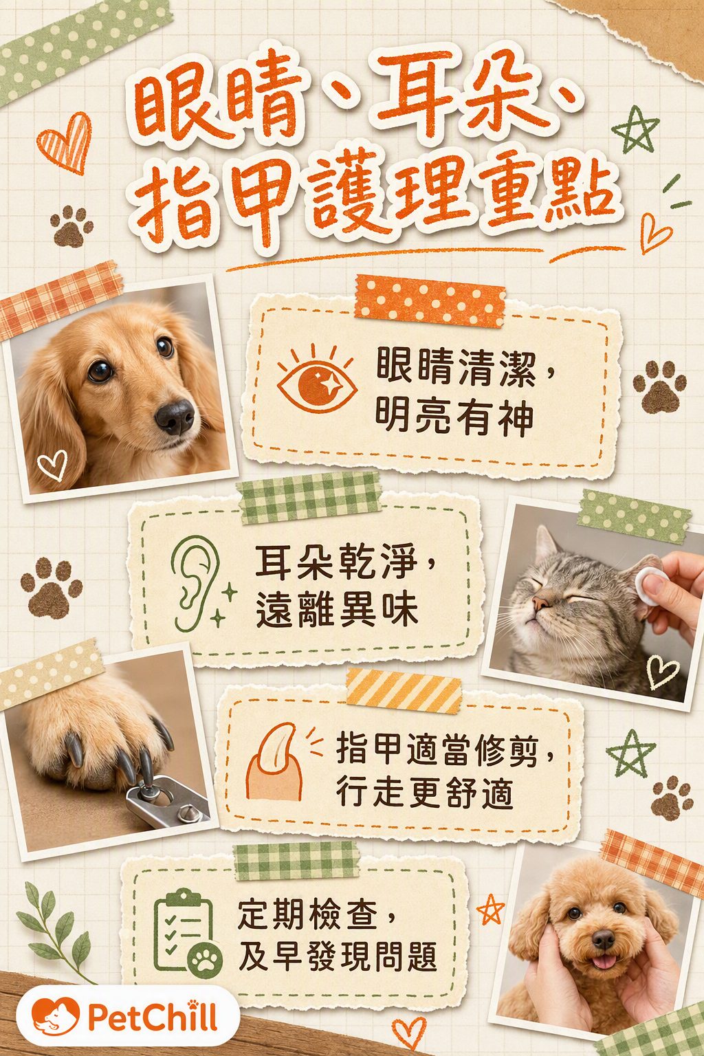 章節內容