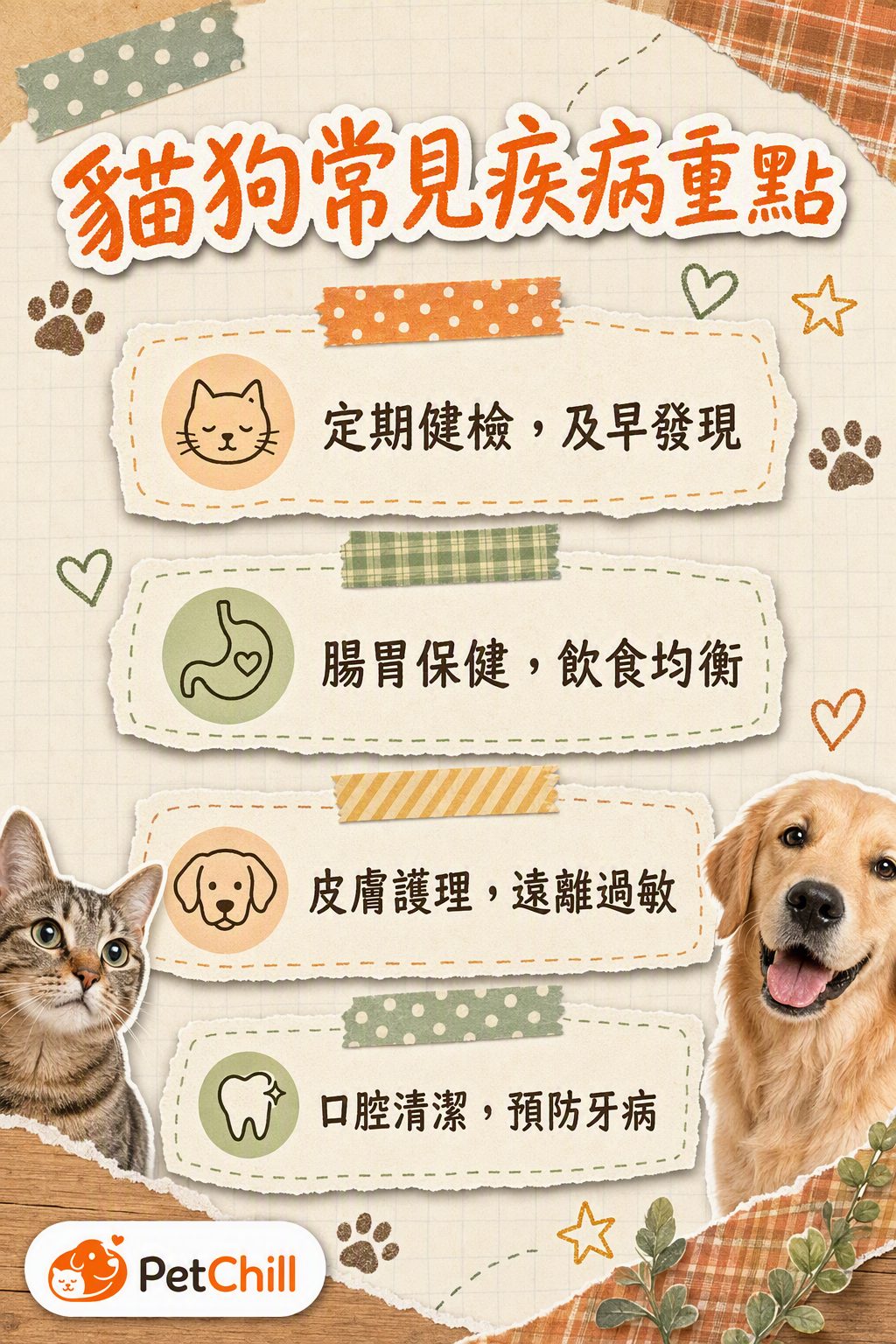 章節內容
