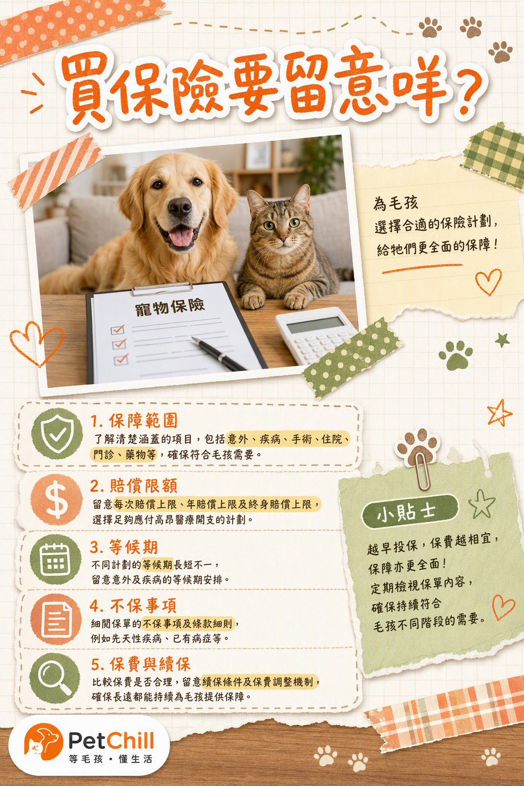 章節主題