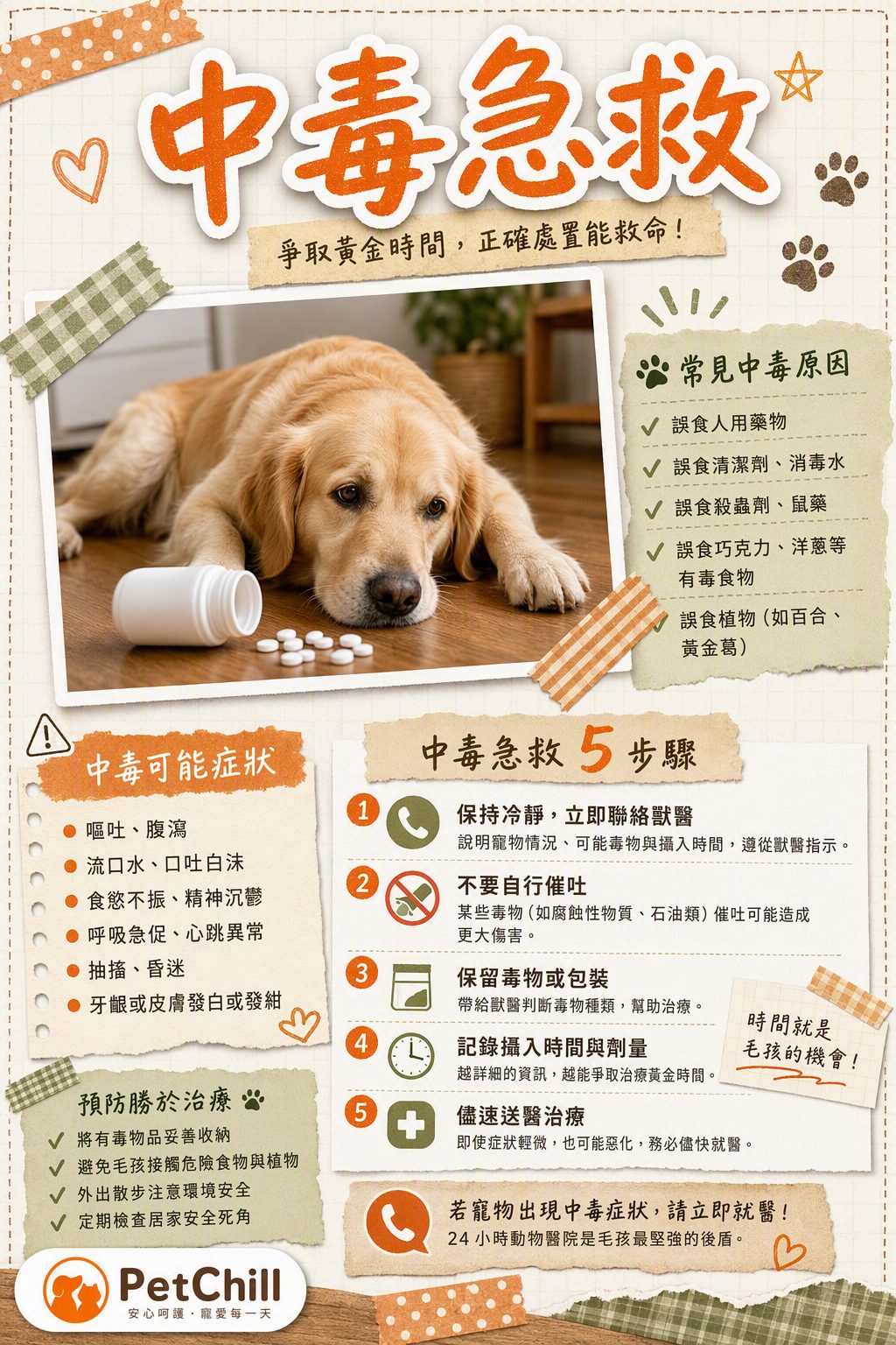 章節主題