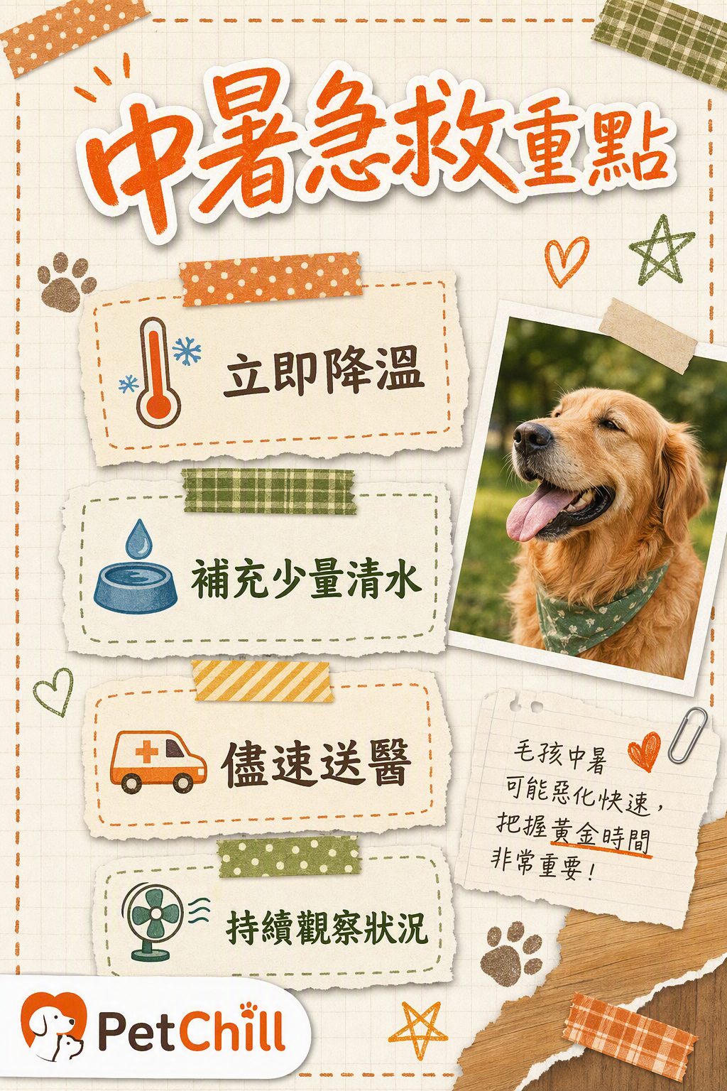 章節內容