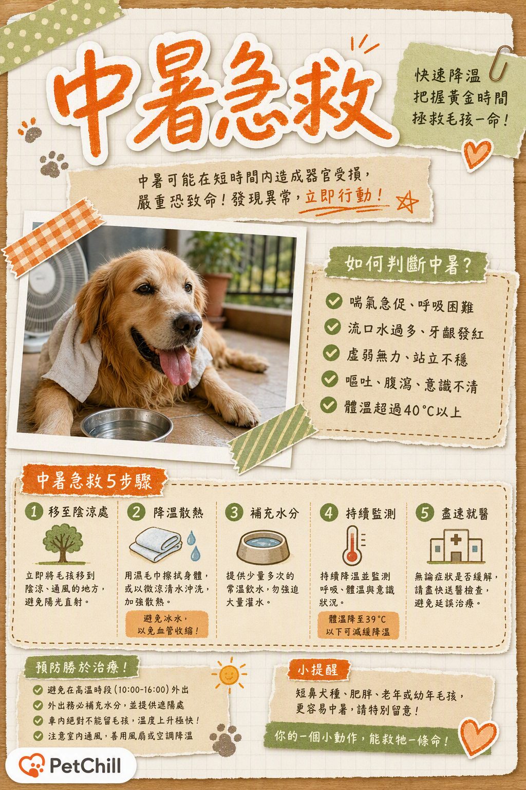 章節主題