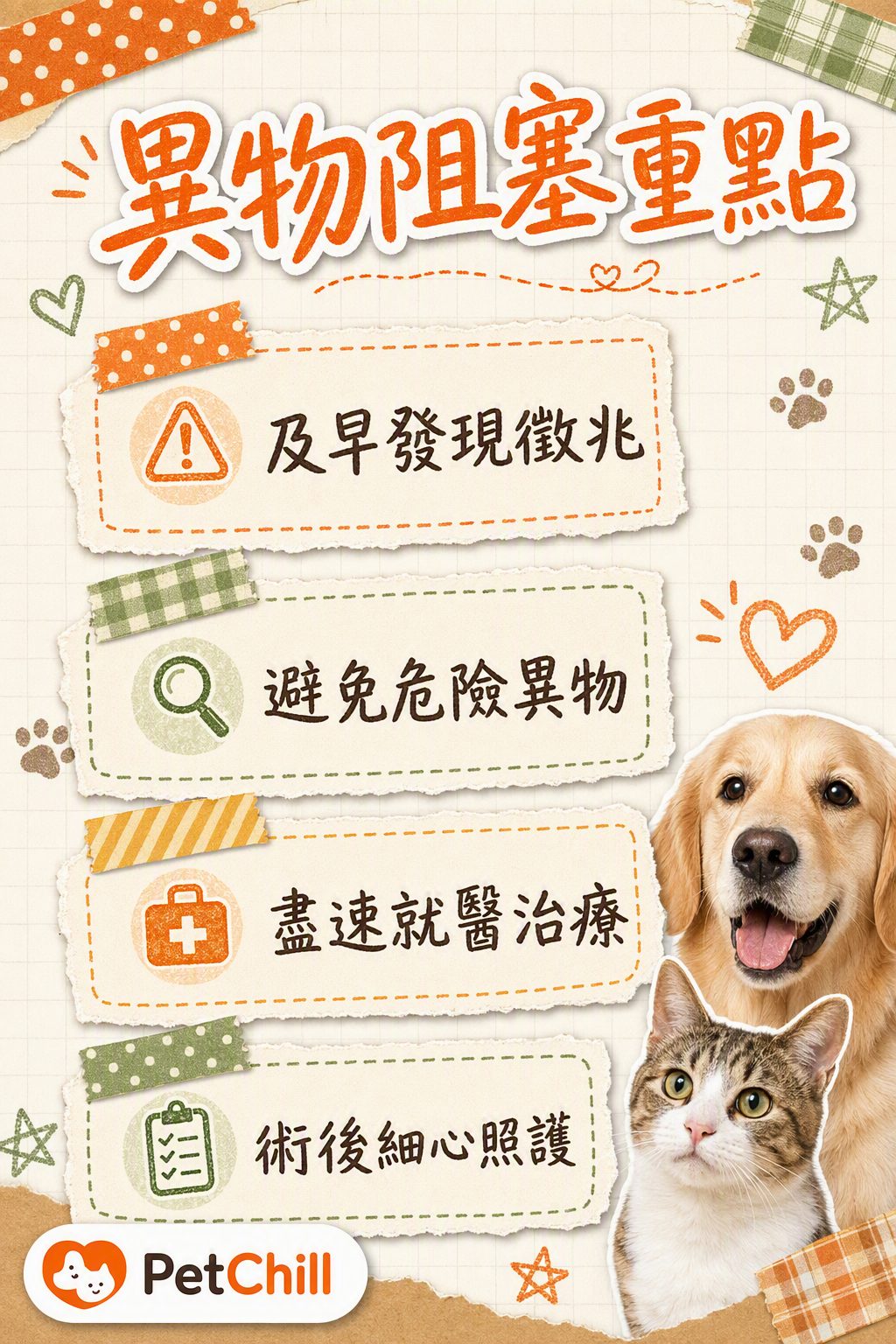 章節內容