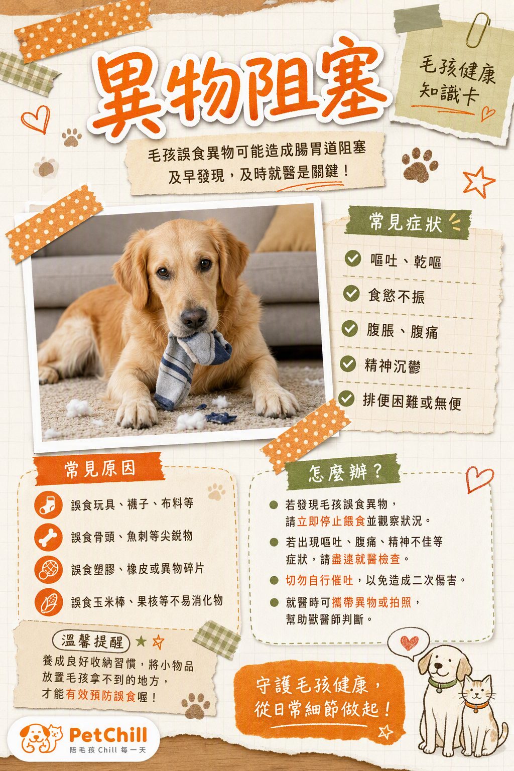 章節主題