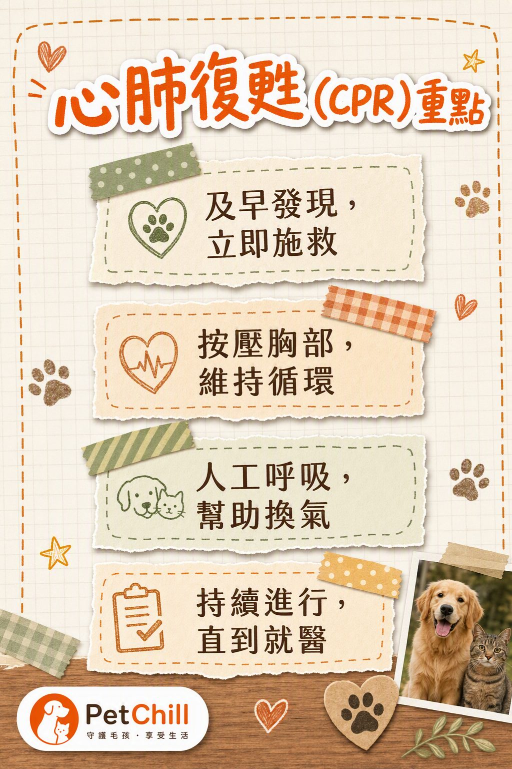 章節內容