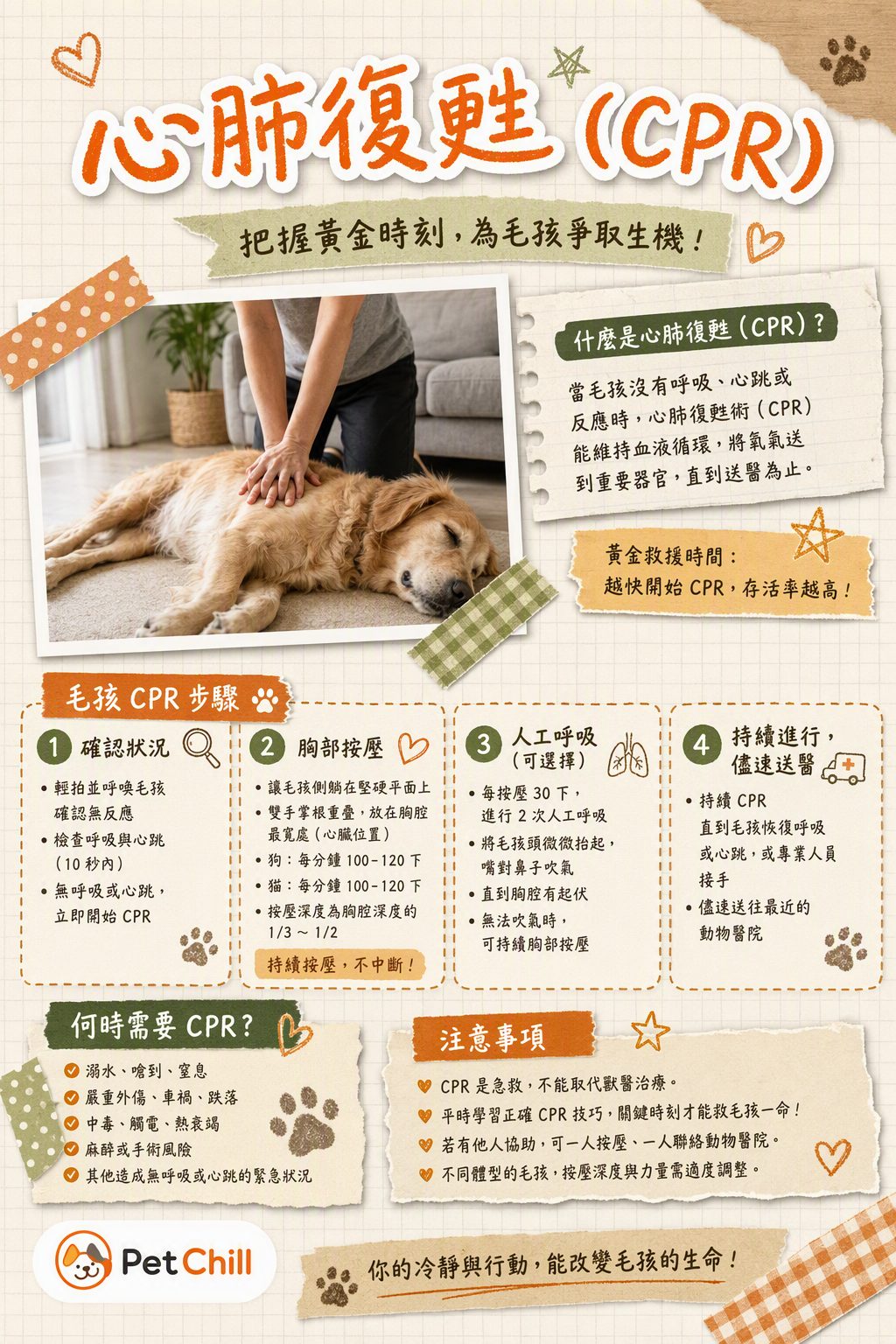 章節主題