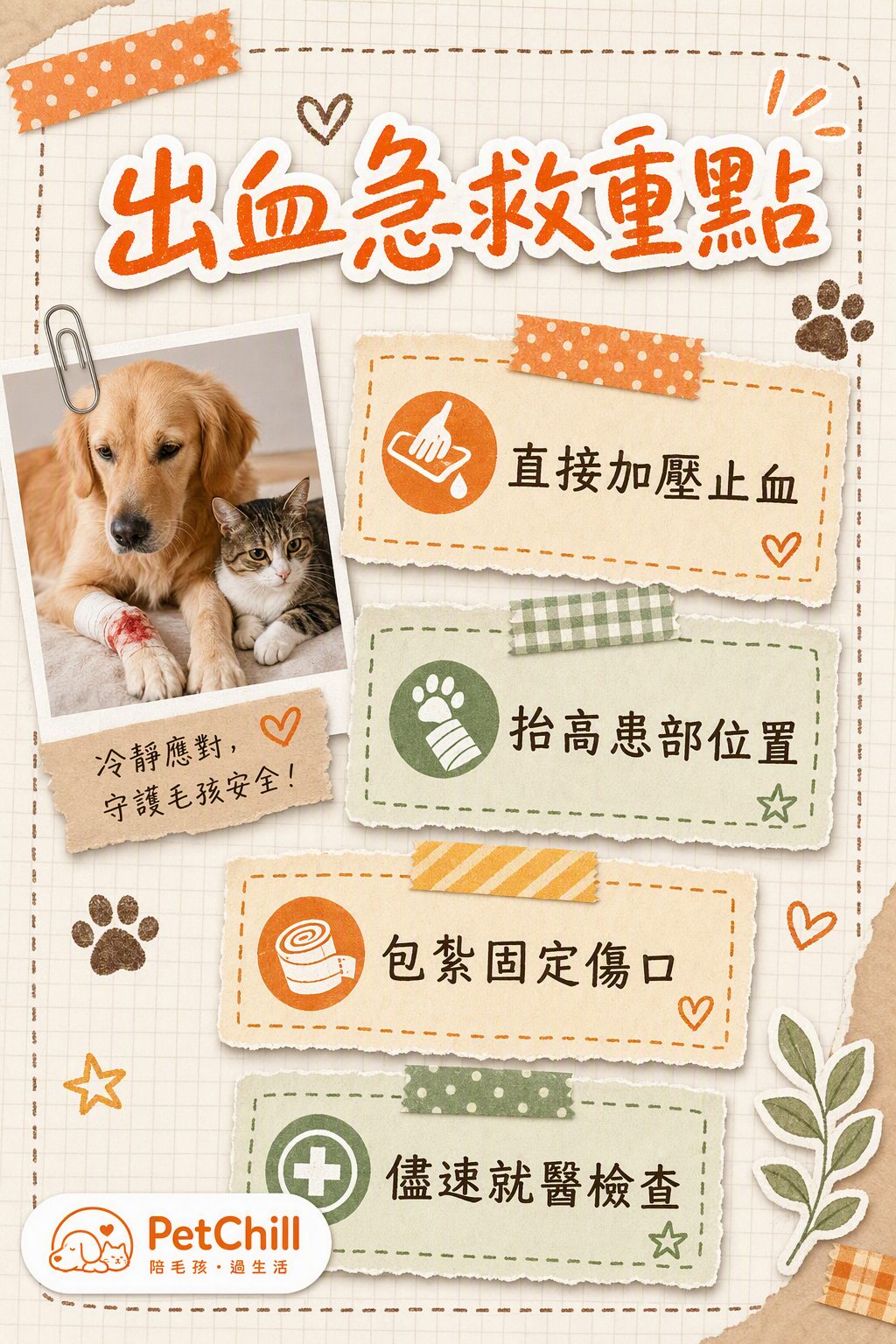 章節內容