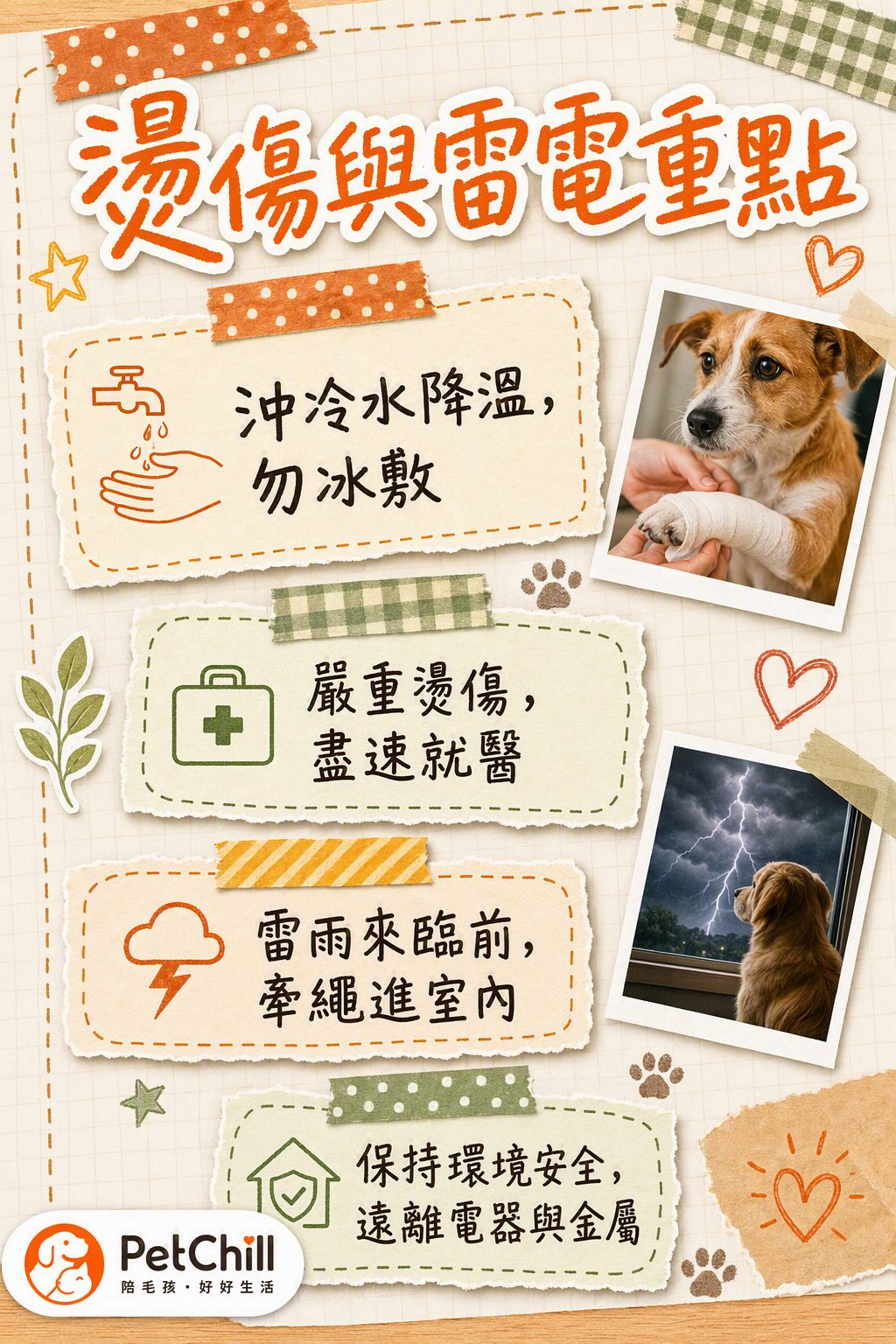 章節內容