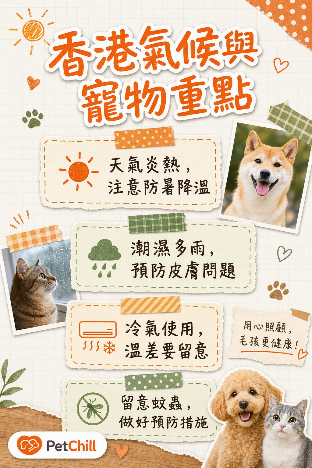 章節內容