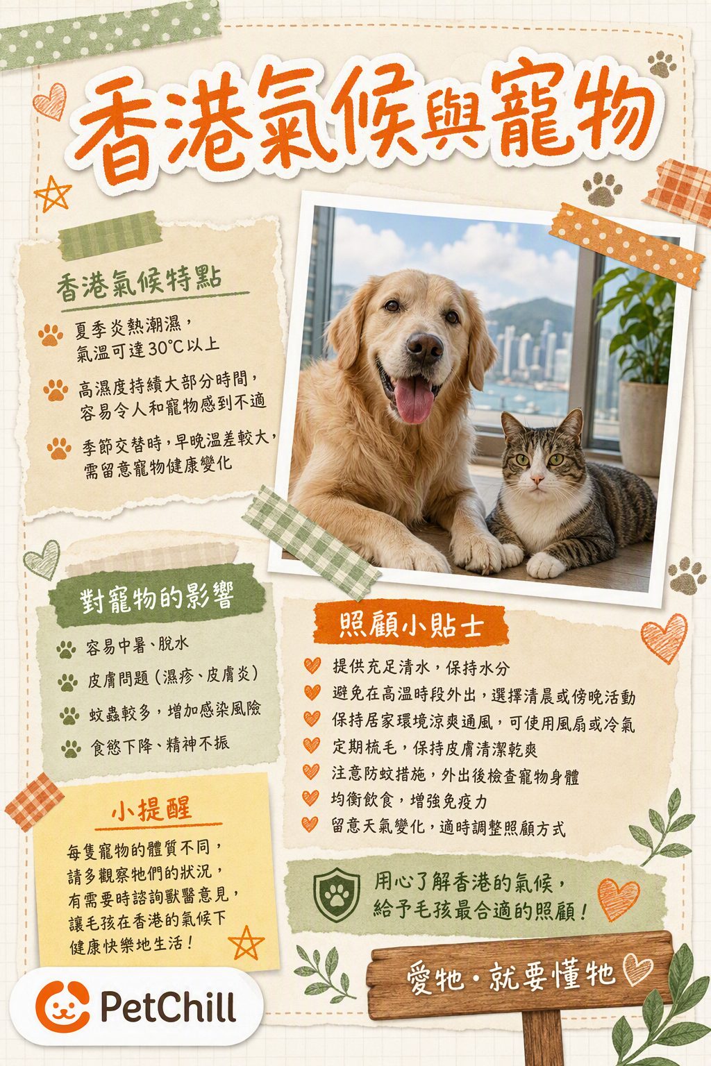 章節主題