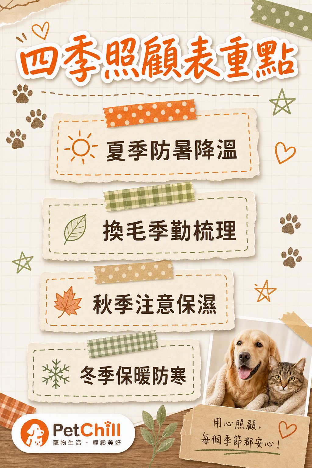 章節內容