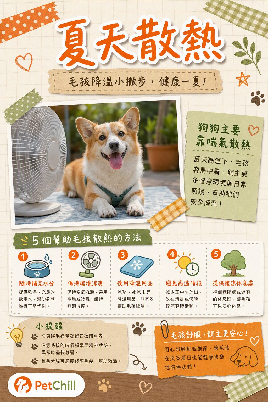 章節主題