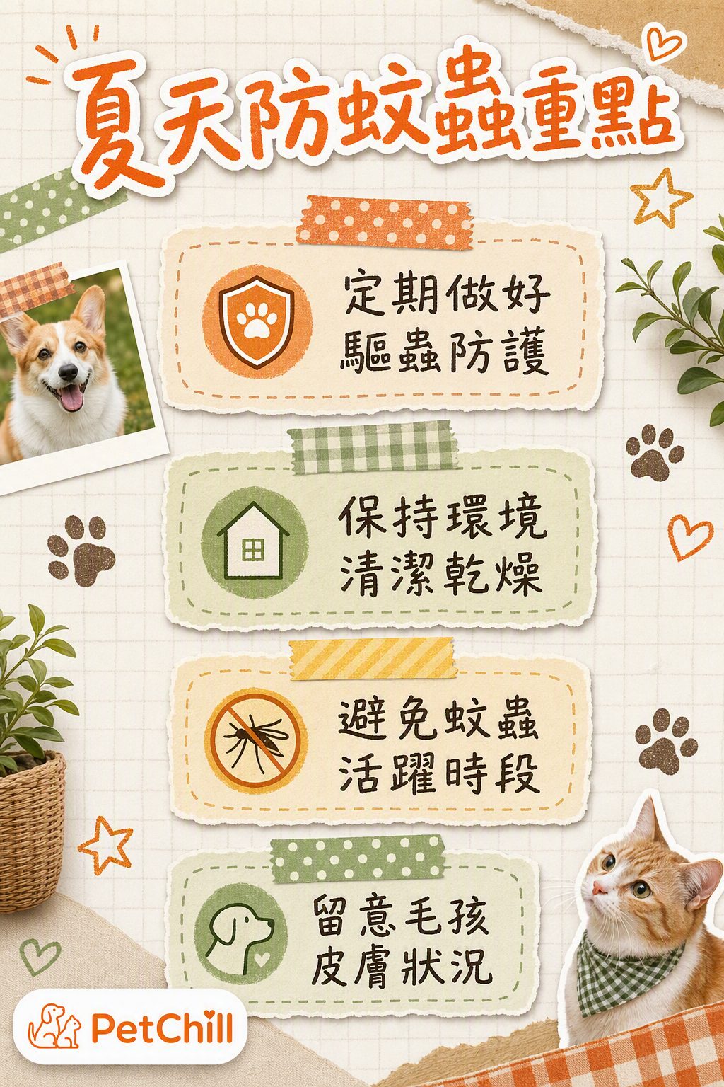 章節內容