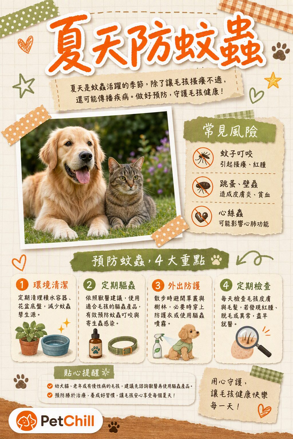 章節主題