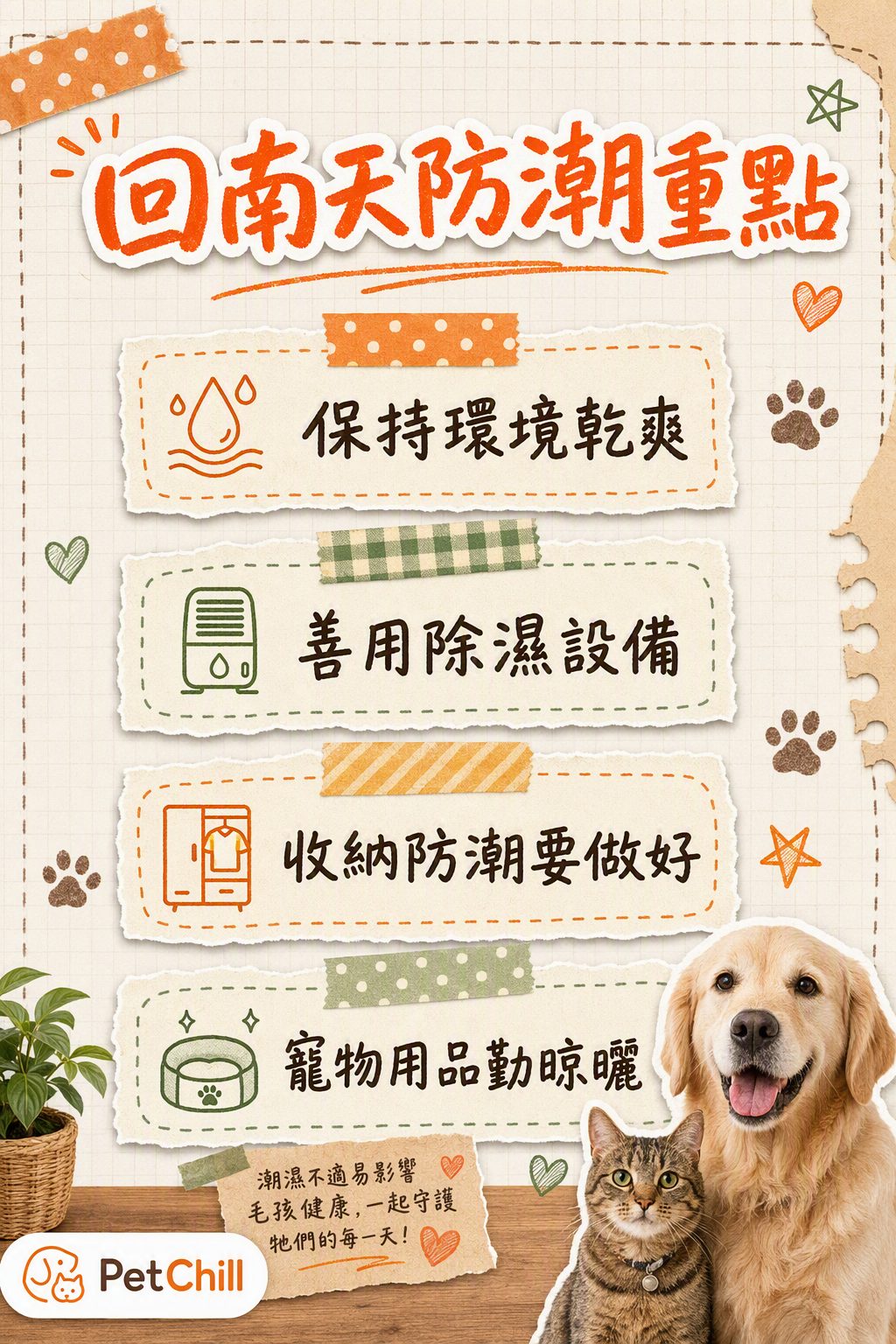 章節內容