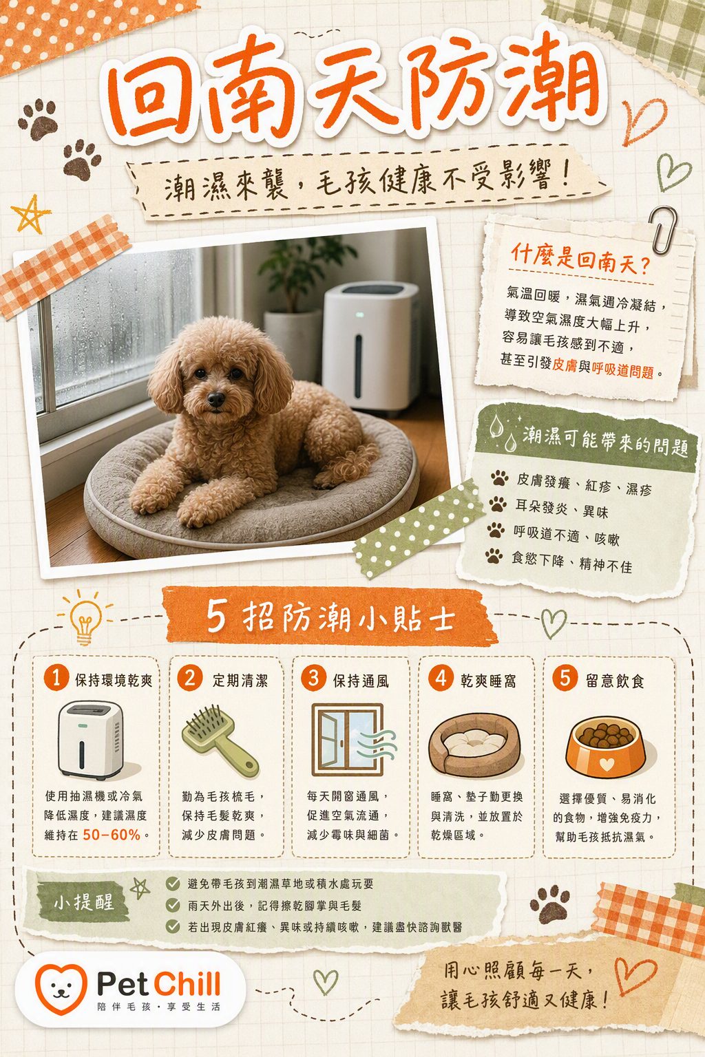 章節主題