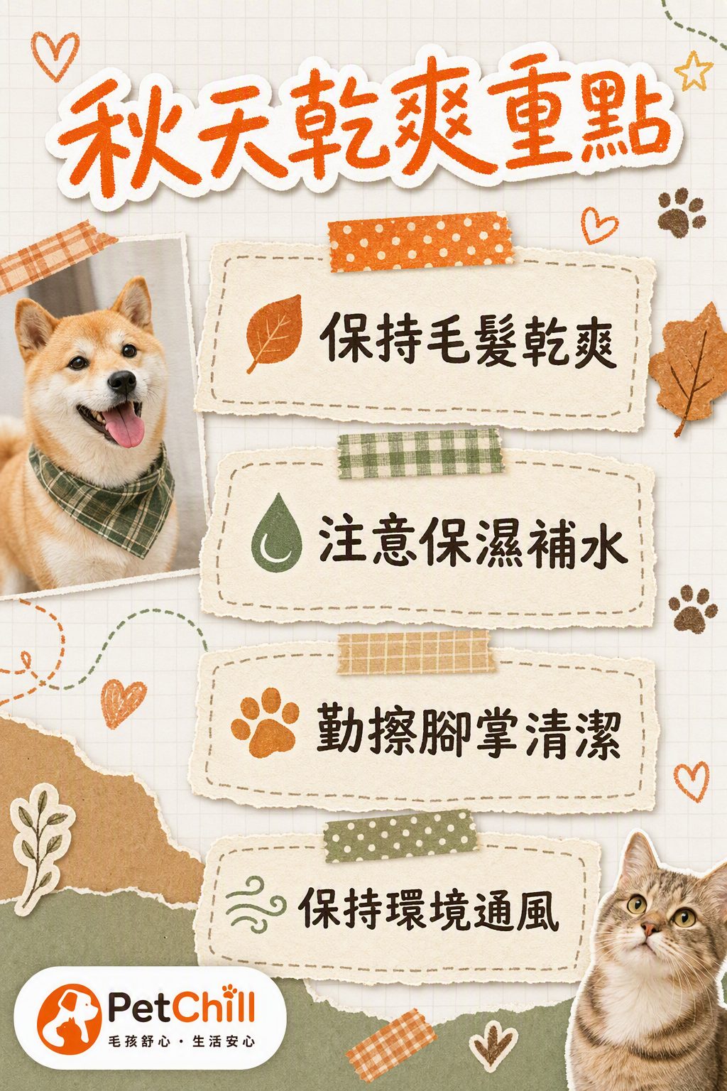 章節內容