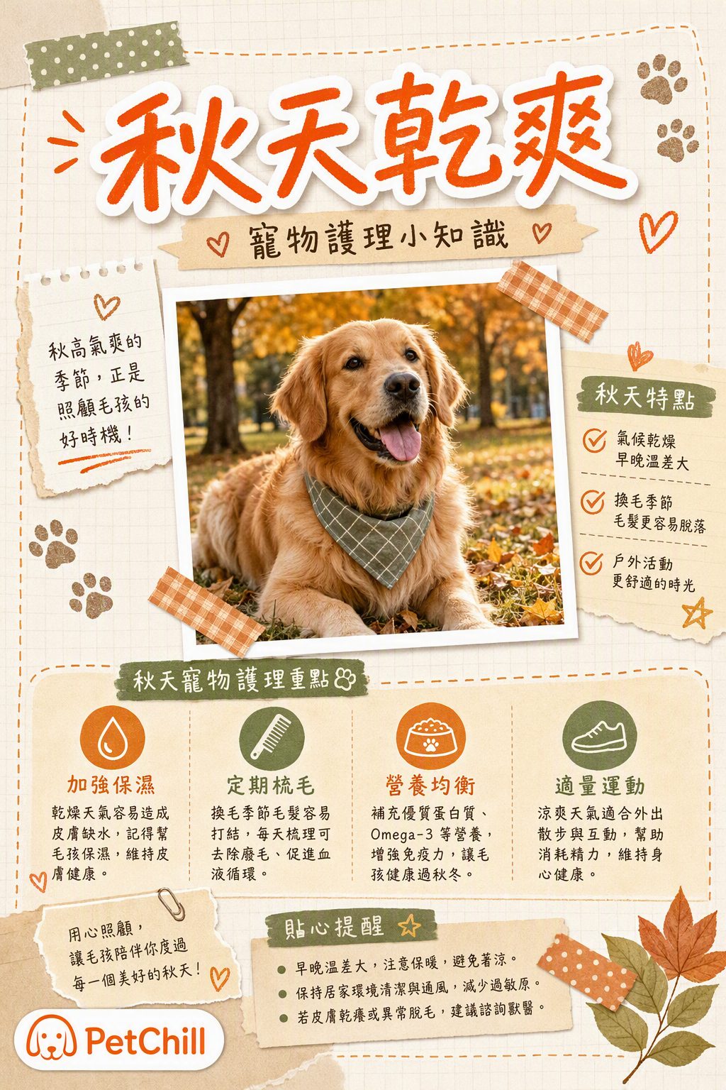 章節主題