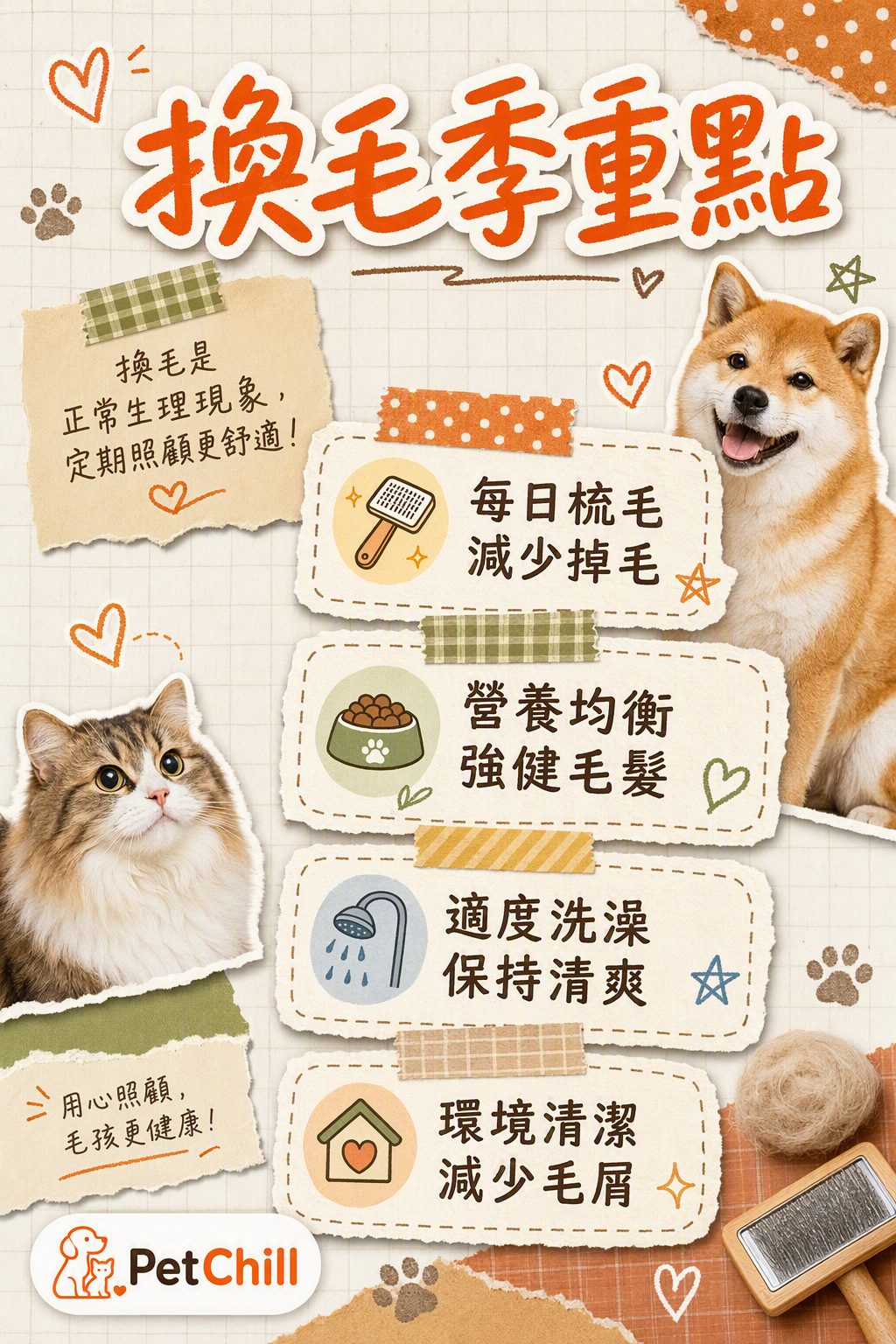 章節內容