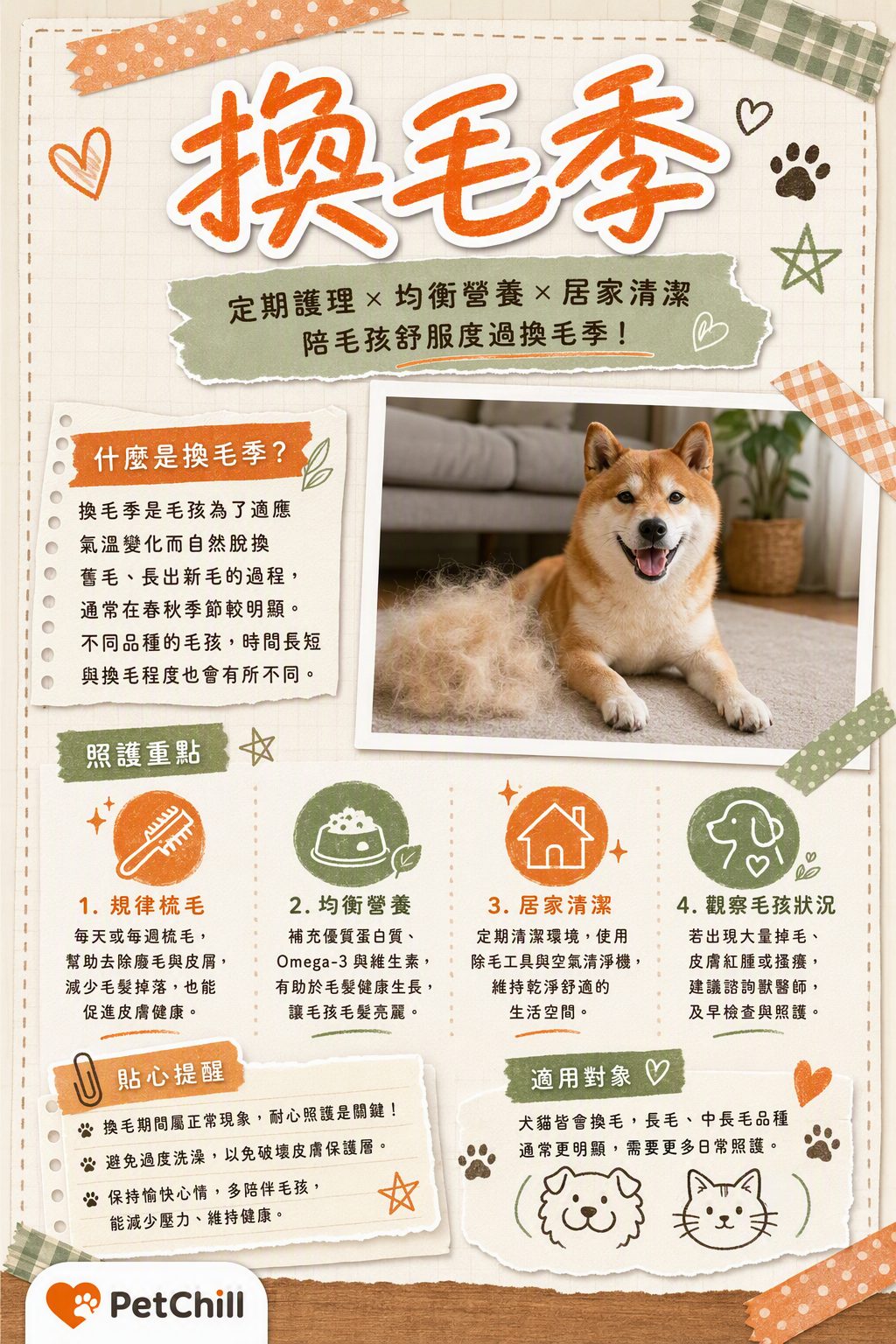 章節主題