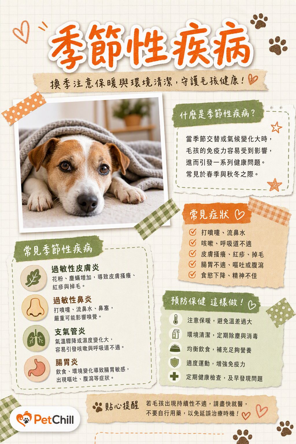 章節主題