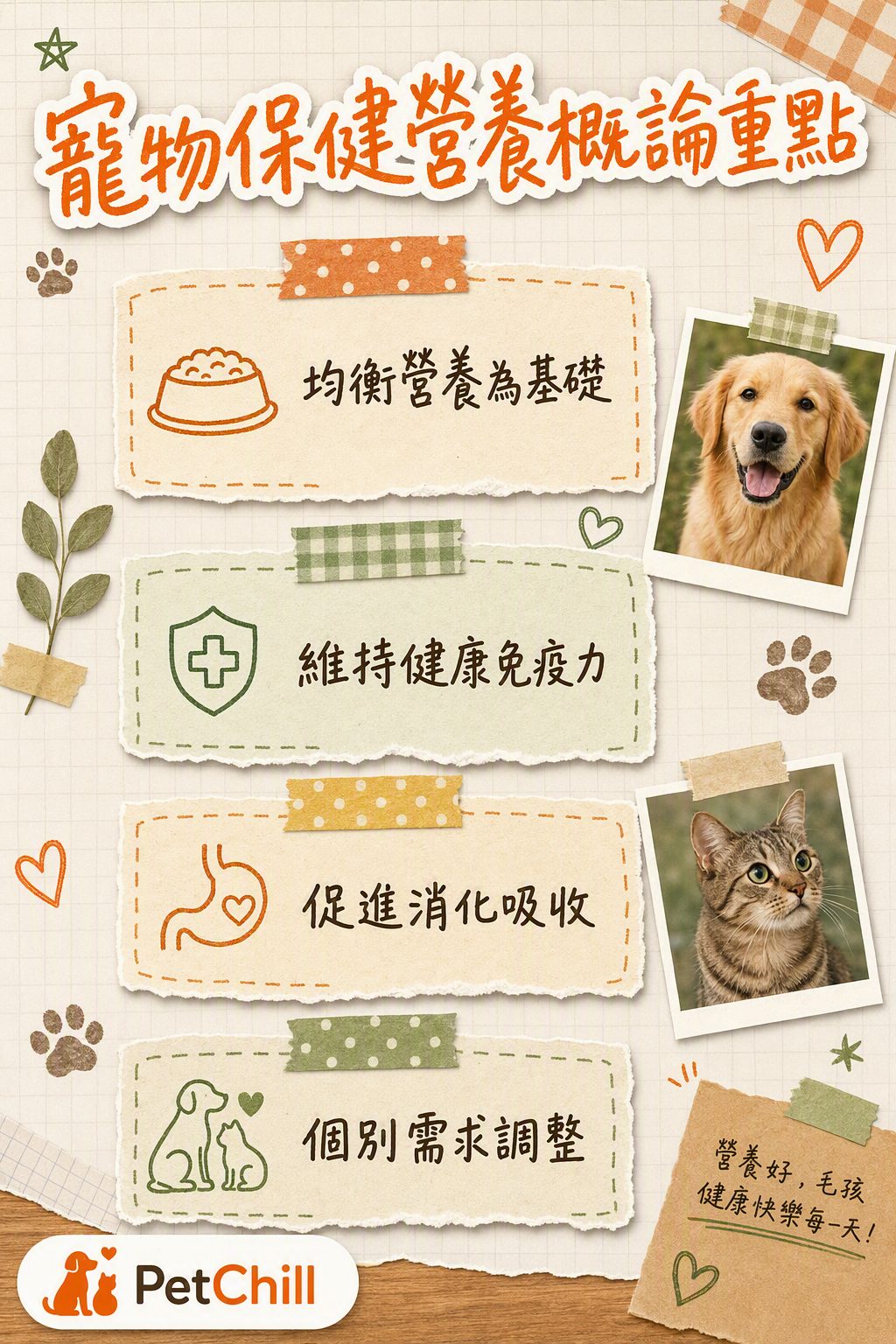 章節內容