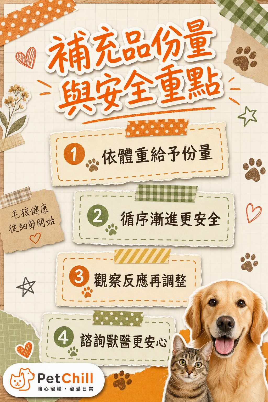 章節內容