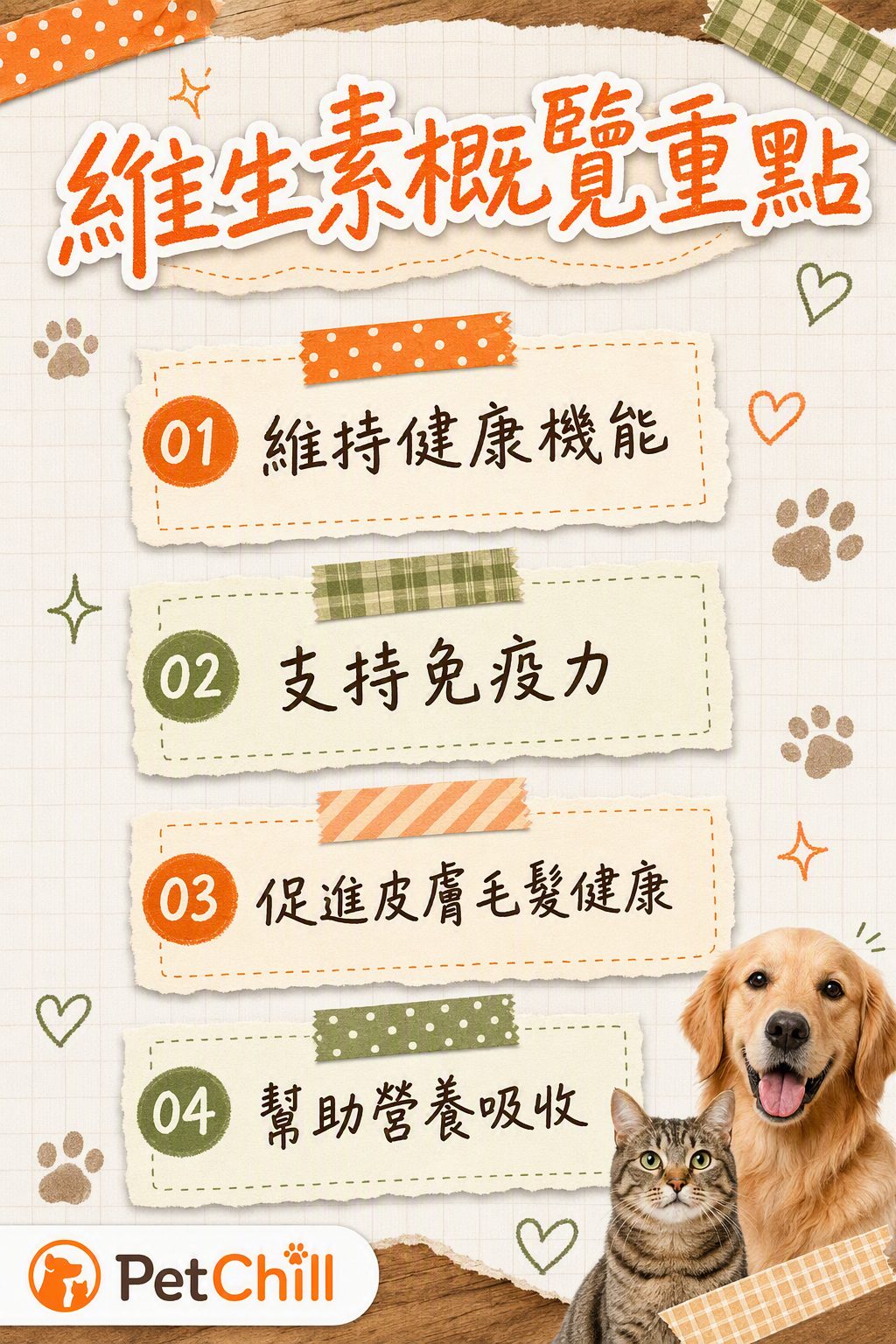 章節內容
