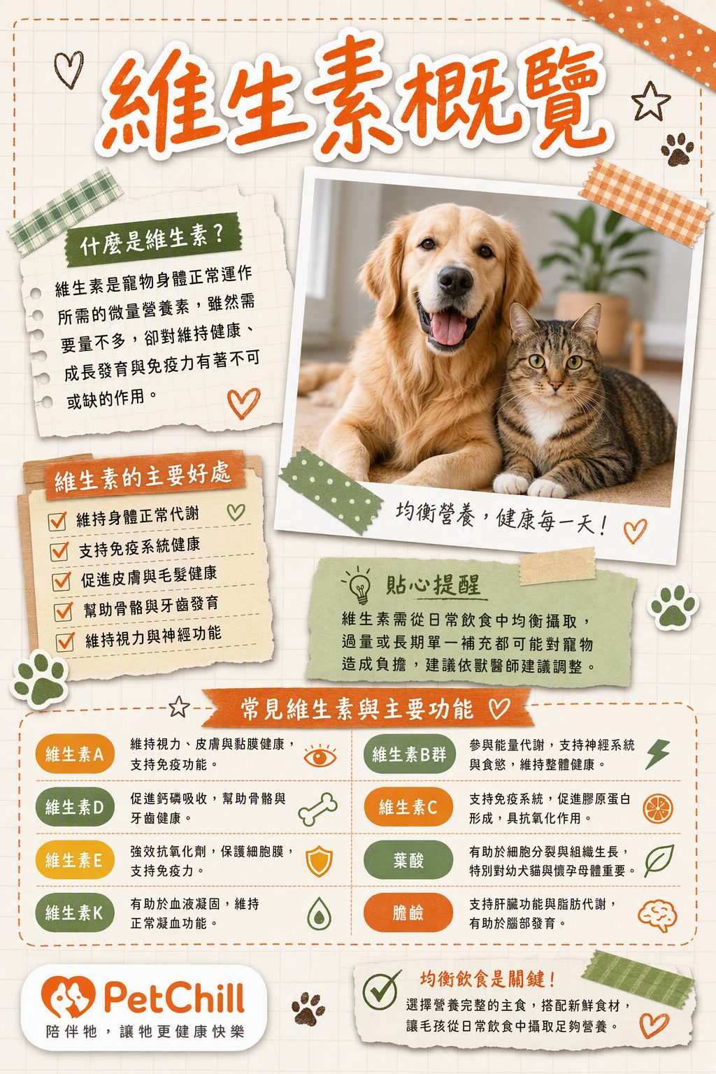 章節主題