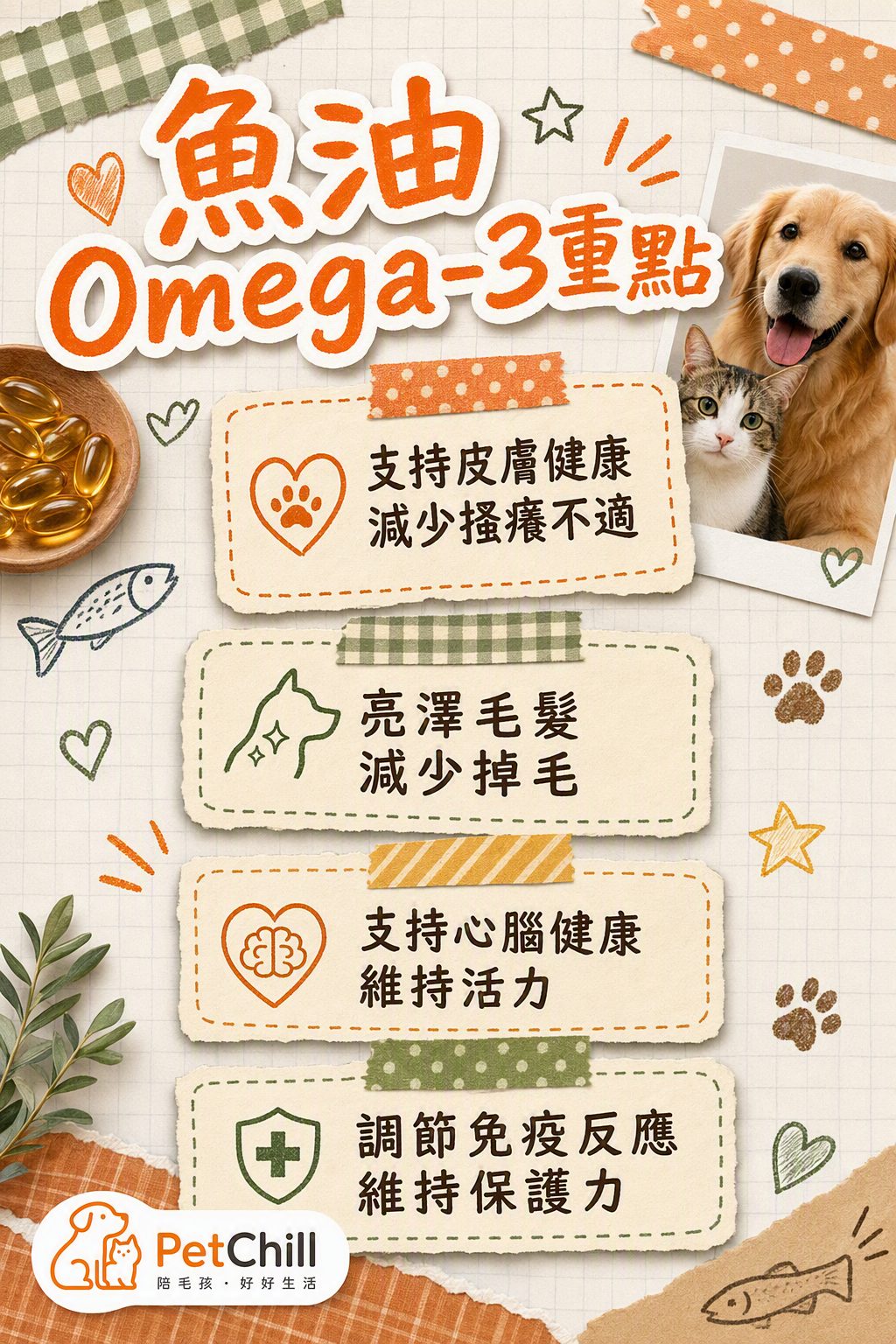 章節內容