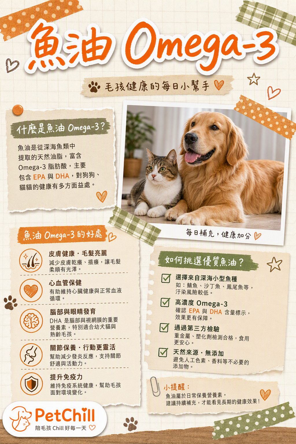 章節主題