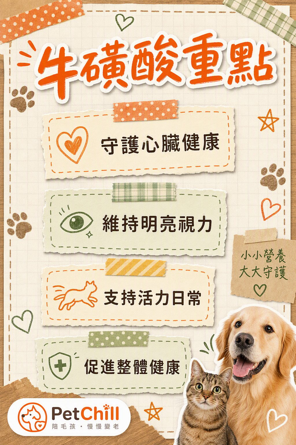 章節內容