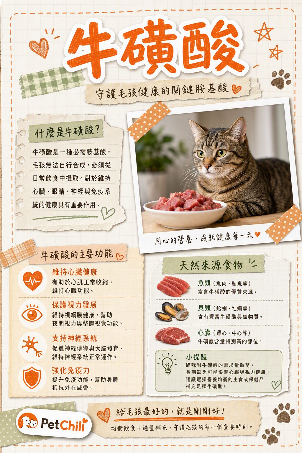 章節主題