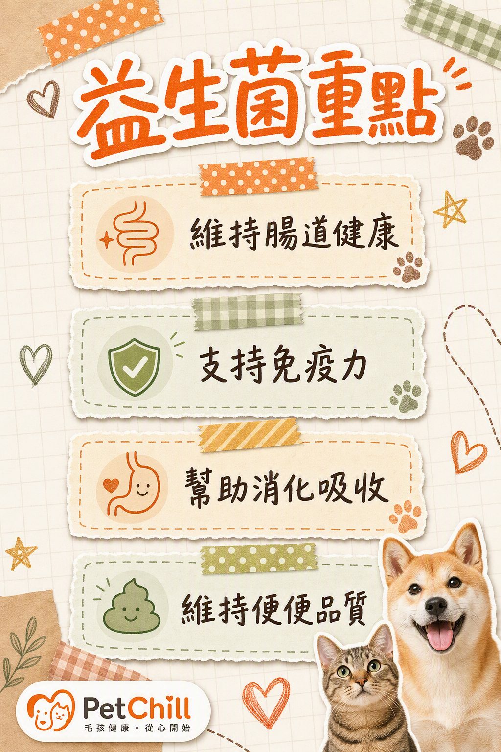 章節內容