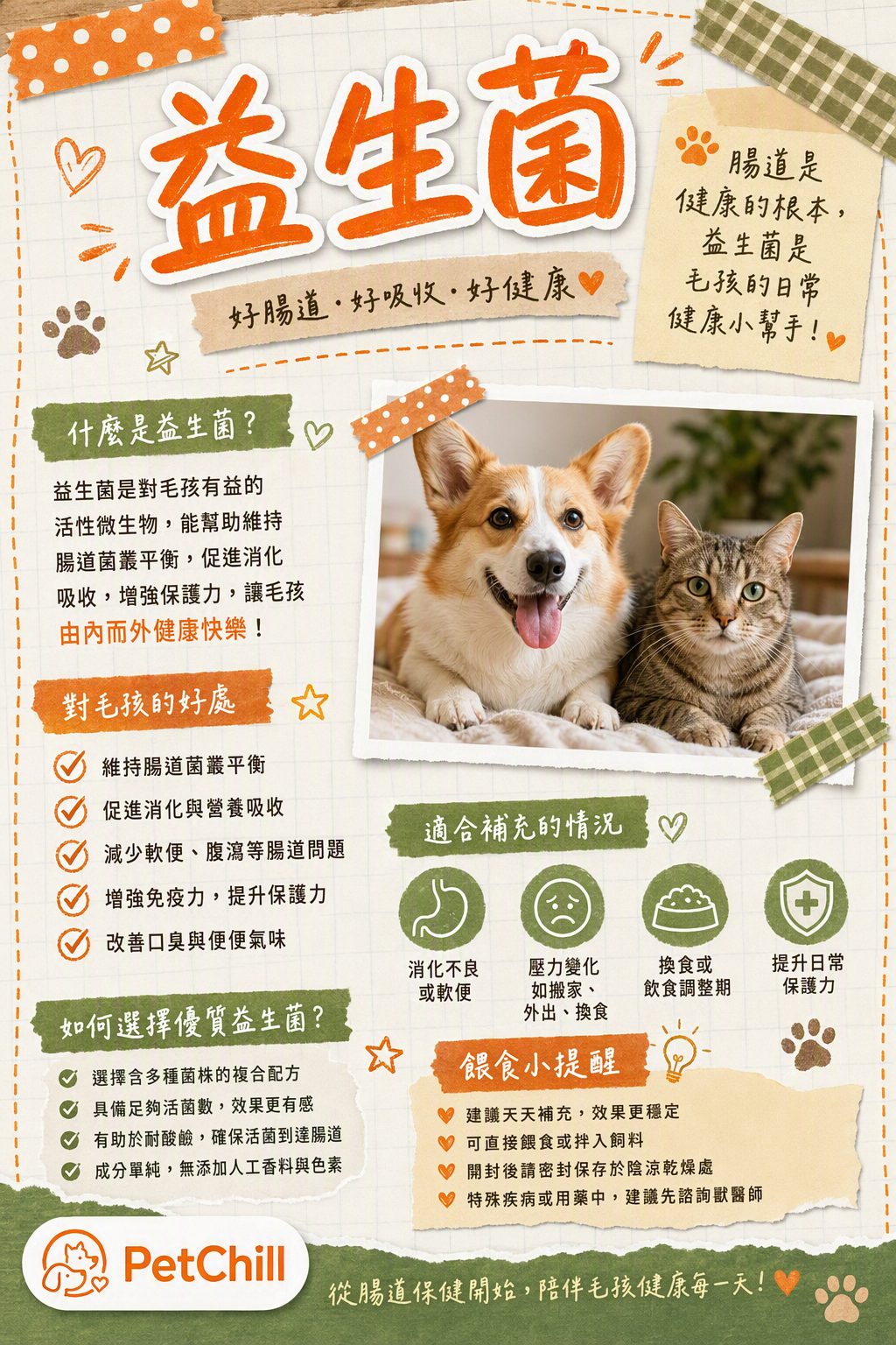章節主題