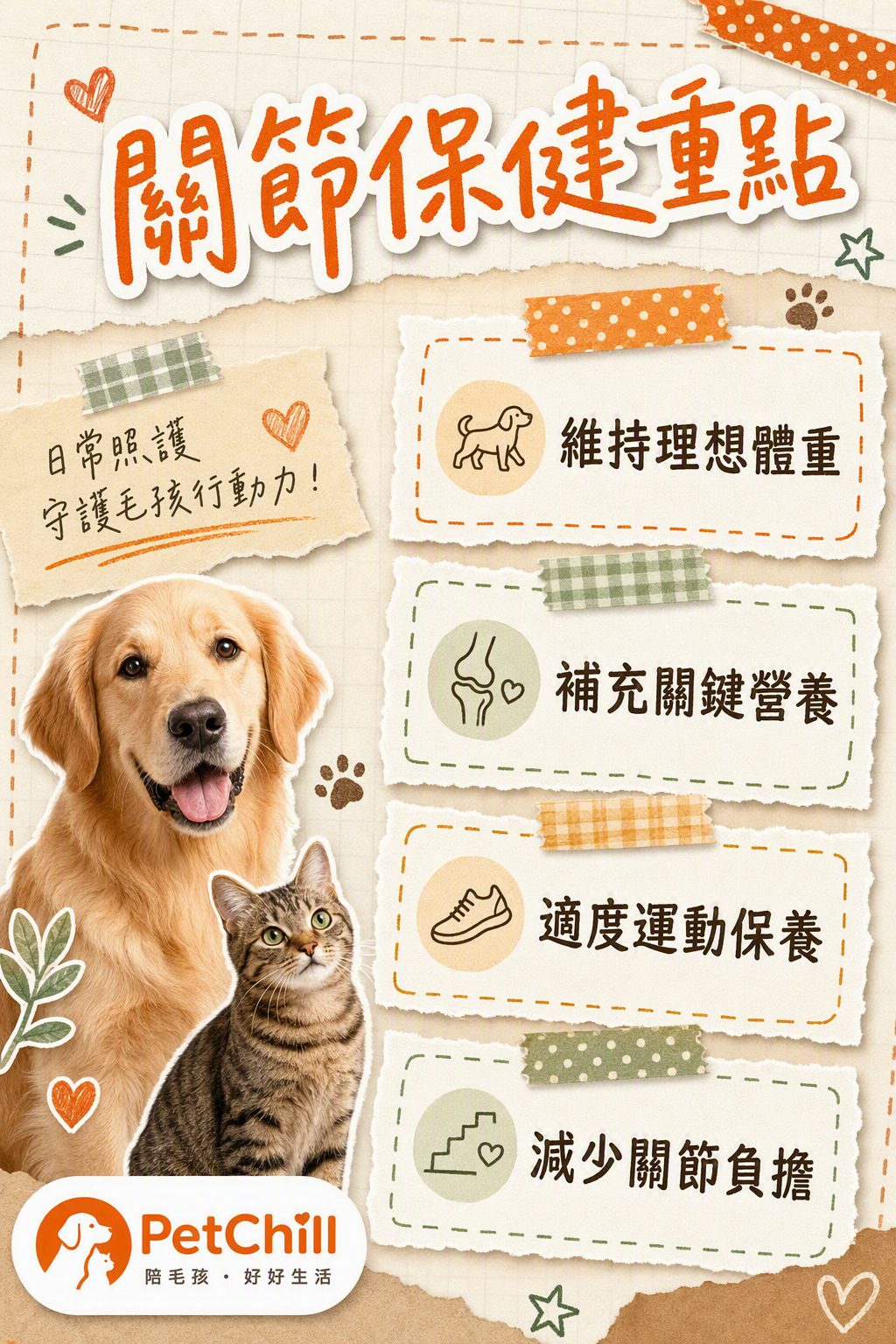 章節內容