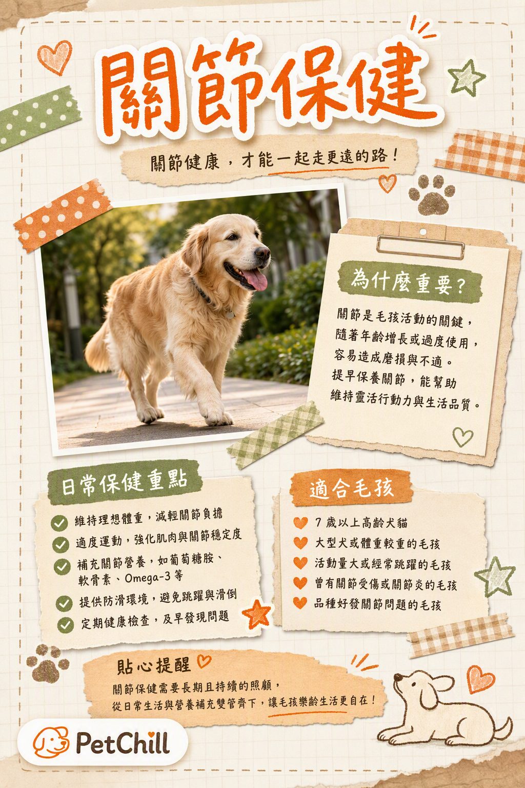 章節主題