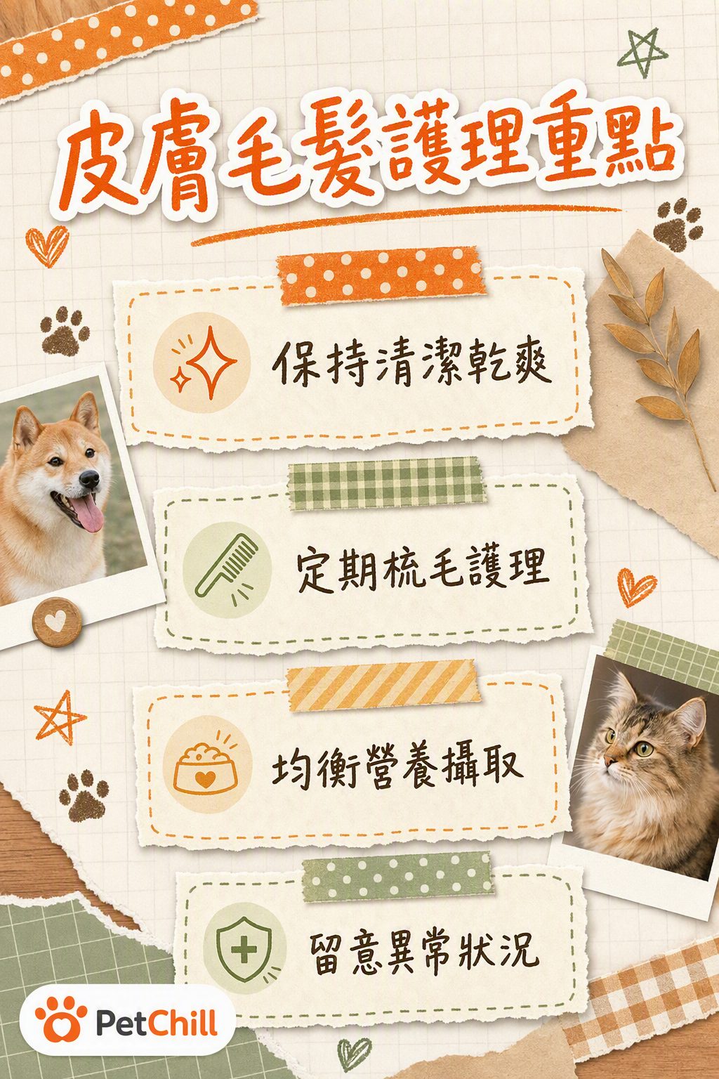 章節內容
